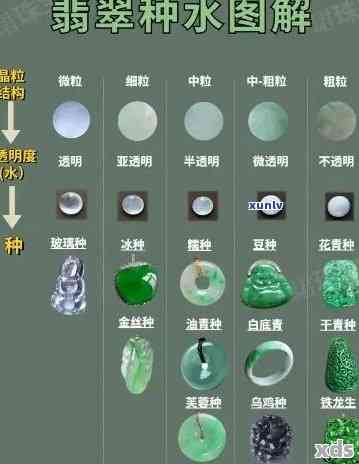 玉石种水等级划分：全面解析与选购指南