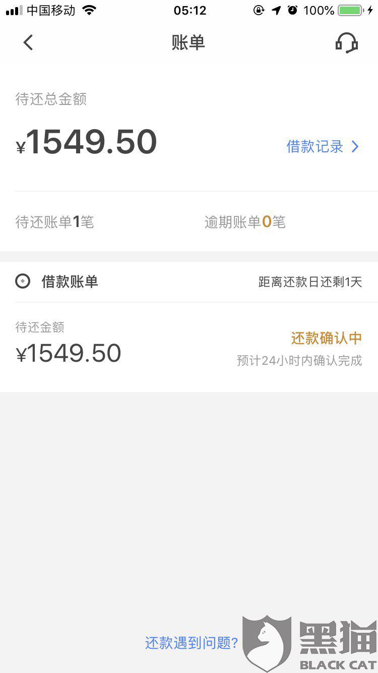 还款成功但显示入账中