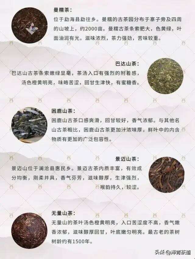 2023年布朗山普洱茶品质排行榜 - 对比分析与最新推荐