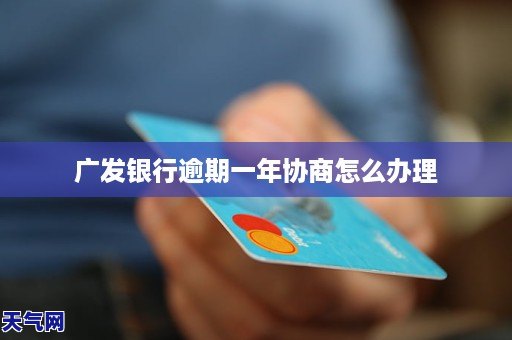 账户逾期月份与总数的区别：深入了解逾期账户处理策略