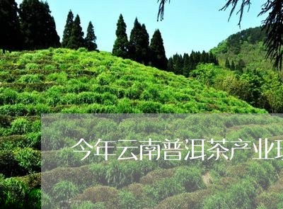 '云南普洱茶今年现状怎么样'可以简化为'云南普洱茶今年现状'。