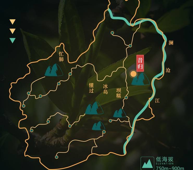 探寻吉林优质普洱茶产地：一份全方位的茶叶产区指南