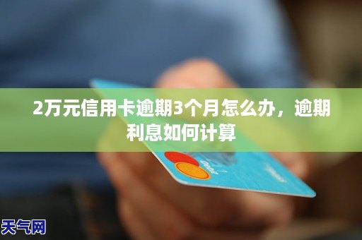 2万逾期3年要还多少钱：逾期利息与费用详细解析