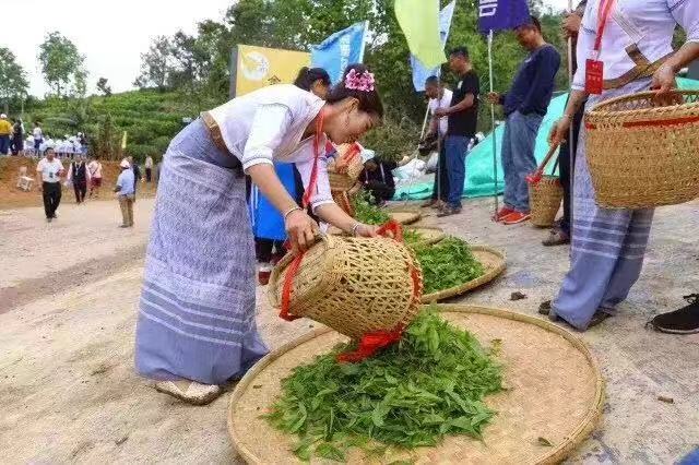 新 '优质佤乡普洱茶推荐：产地一网打尽'