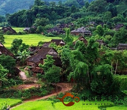 佤乡普洱茶推荐产地有哪些