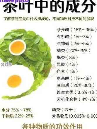 普洱茶里含有物质：丰富的营养与药效成分解析