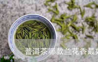 普洱茶有没有兰花香的香味呢？如何辨别？