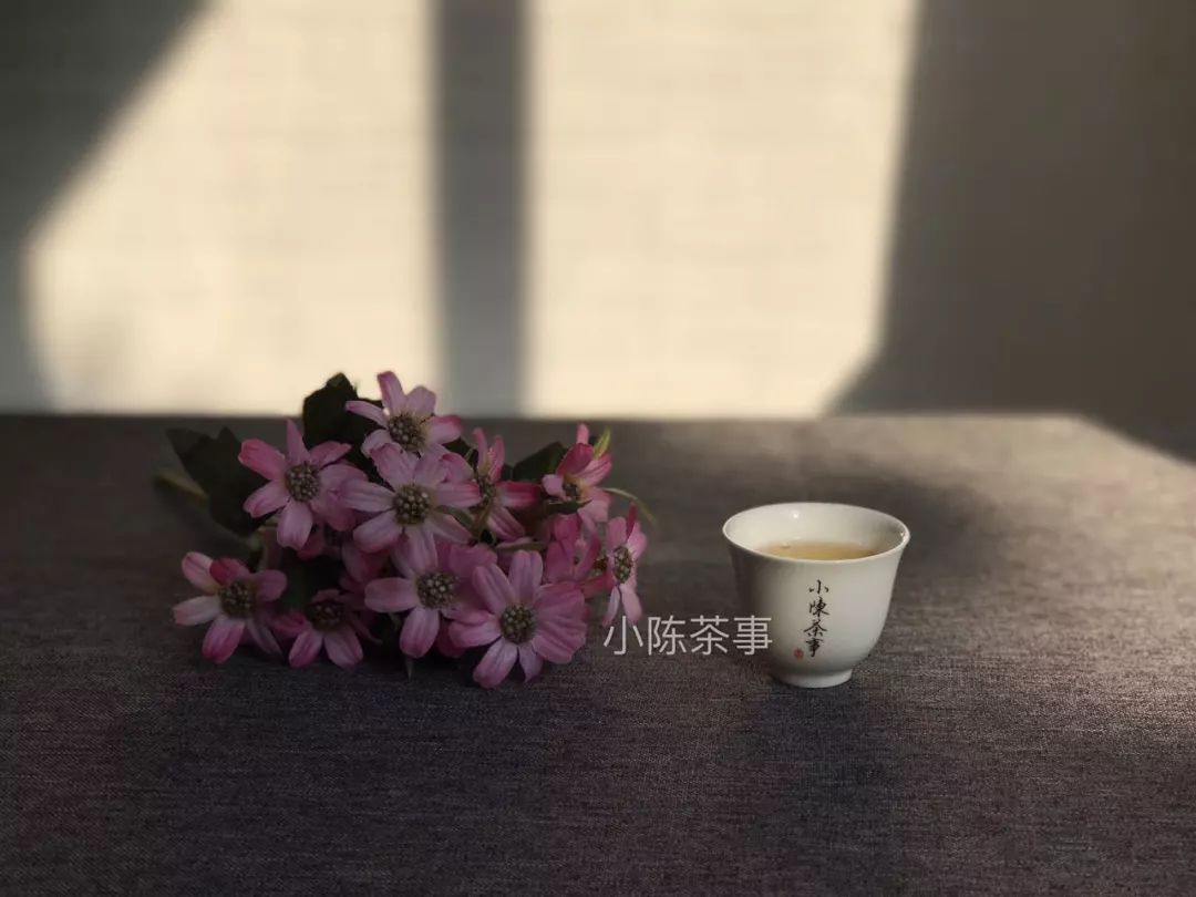 普洱茶的口感与风味：探讨为什么有些人喝不惯的原因及如何适应