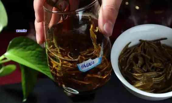 98年普洱茶品鉴指南：如何正确冲泡与品尝，让你的普洱茶更美味