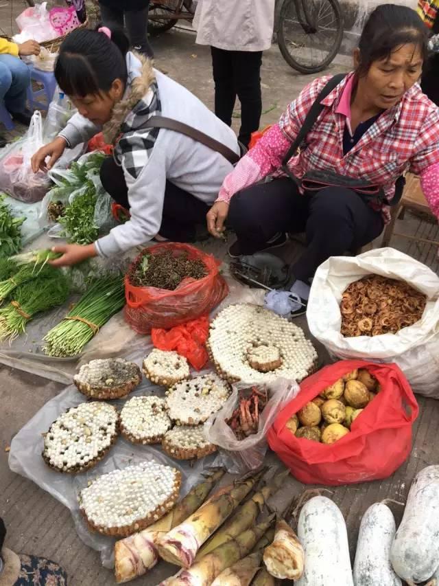 喝普洱茶后出现疲乏症状？了解原因和解决方法