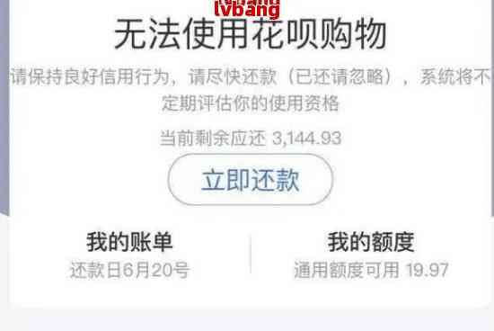 '分期通还进去的钱能用吗' - 安全使用及还款后的可用性详解