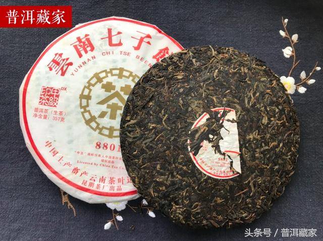 探究普洱茶8801背后的文化与历意义