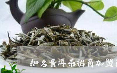 普洱茶招商加盟投什么人群