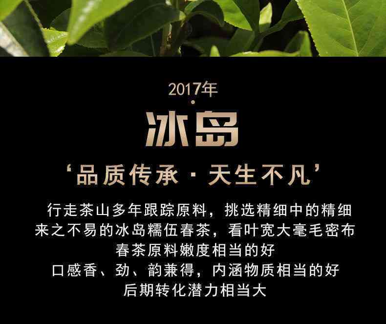 冰岛自然环境对普洱茶价格的影响分析