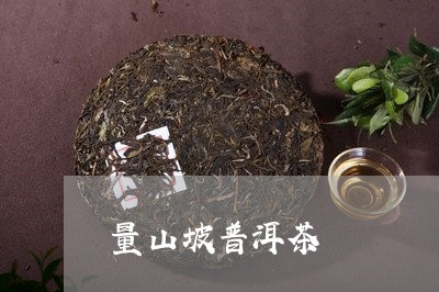 望山坡普洱茶价格查询最新