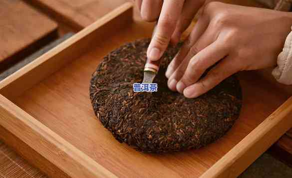 普洱茶饼怎么做出来的好喝？如何制作方法和步骤有哪些？