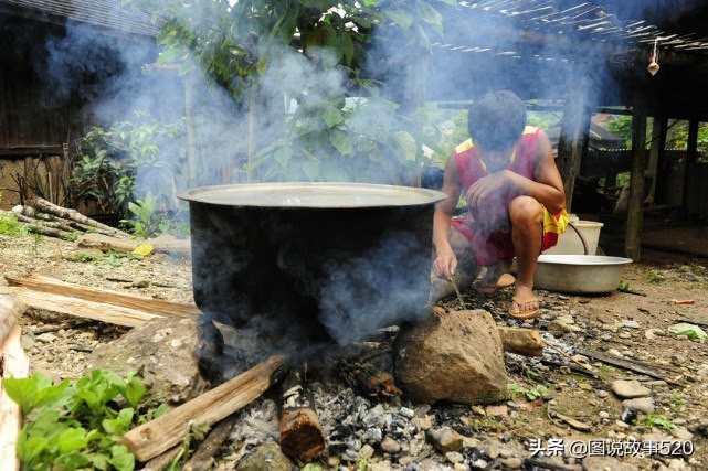 云南正宗普洱茶十大：揭示最知名茶叶产地的