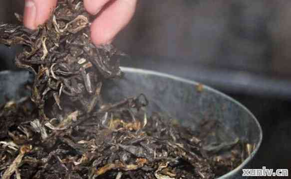 干菜中的普洱茶：揭秘茶叶种类与制作方法