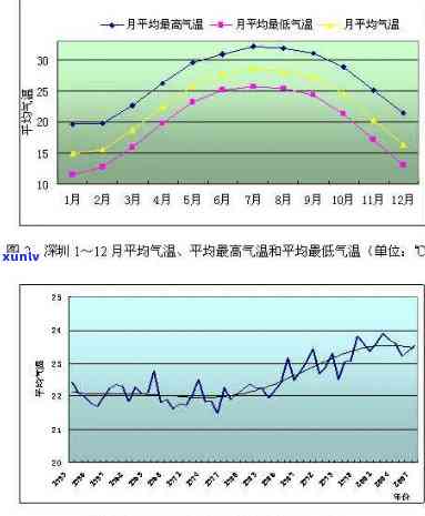 冬日里的普洱茶保秘诀：东北地区的气候调整与存技巧