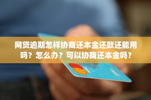 网贷逾期还款策略：先还利息高还是本金大？