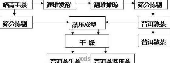 深入探讨普洱茶发酵的科学原理与实践技巧：从原料选择到工艺流程