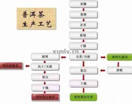 深入探讨普洱茶发酵的科学原理与实践技巧：从原料选择到工艺流程