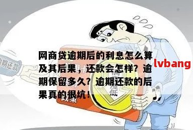 网商贷逾期还款的惊人后果：深度解析、预防措和解决方法一应俱全！