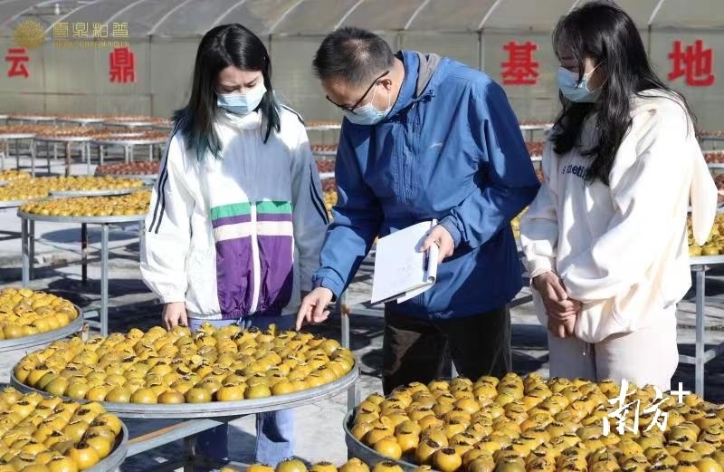 新普洱茶中的黄酮含量及其对健的影响：为什么有些人不适合饮用？