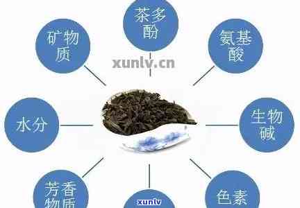 新普洱茶中的黄酮含量及其对健的影响：为什么有些人不适合饮用？