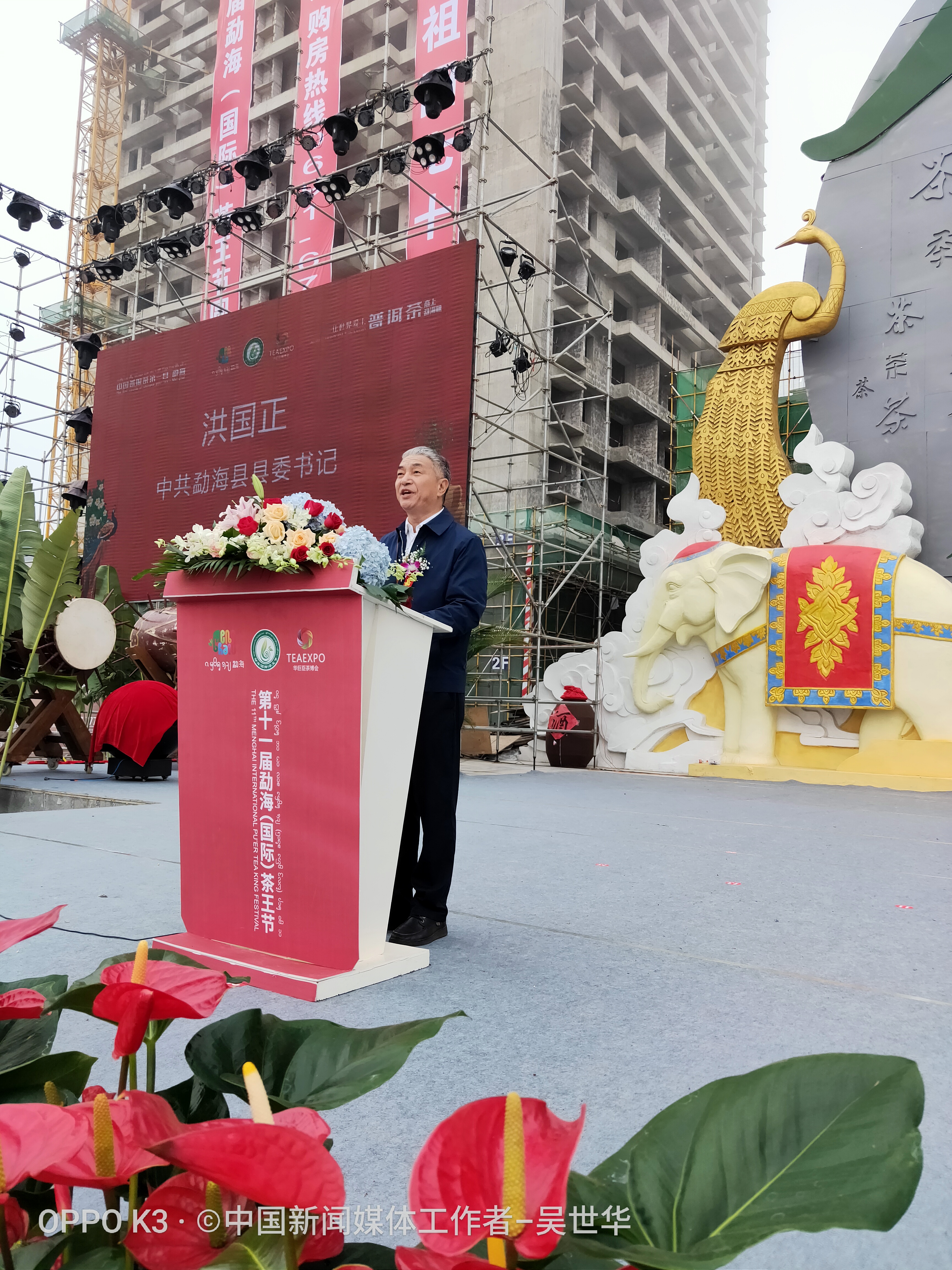 如何区分普洱茶节和时间