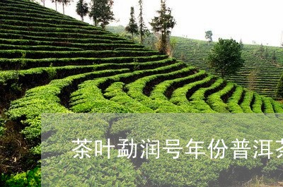 勐润号普洱茶怎么样？勐海勐润号年份普洱茶价格及编号。