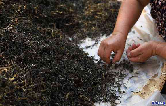 探索普洱茶的独特魅力：如何通过炒制展现兰香味儿