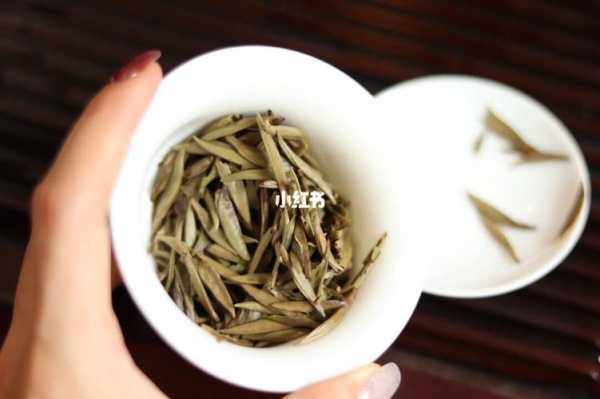 新 白茶银针：一种独特的普洱茶替代品？如何正确冲泡与品鉴？