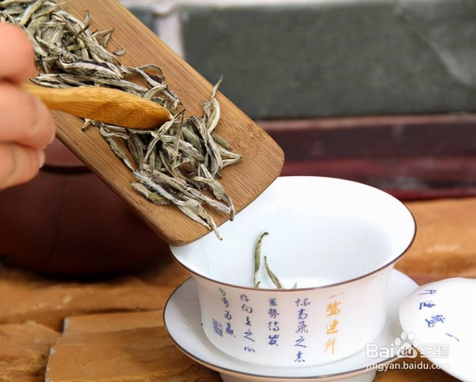 新 白茶银针：一种独特的普洱茶替代品？如何正确冲泡与品鉴？