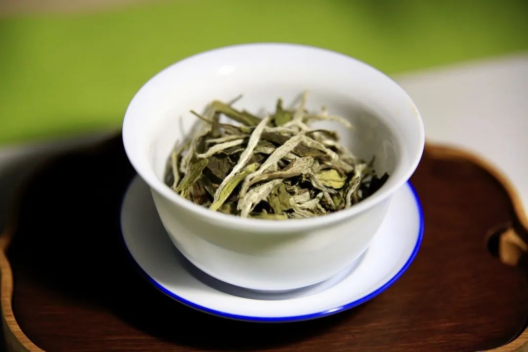 新 白茶银针：一种独特的普洱茶替代品？如何正确冲泡与品鉴？