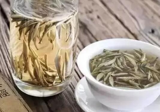 新 白茶银针：一种独特的普洱茶替代品？如何正确冲泡与品鉴？