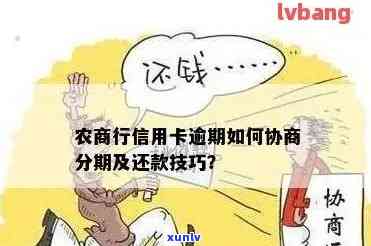 新 农商贷款逾期后如何与银行协商实有效分期还款方案？