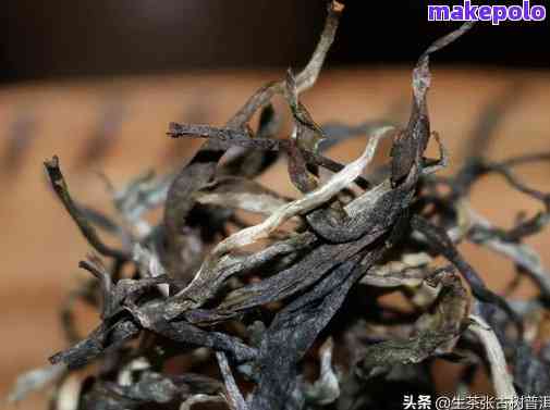 探寻文山普洱茶的独特魅力：品种、品质、功效与泡法一网打尽