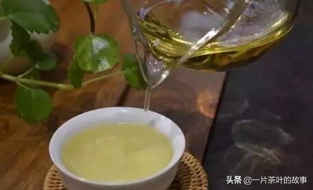 探索普洱茶的冲泡艺术：揭秘打开茶叶的神秘工具