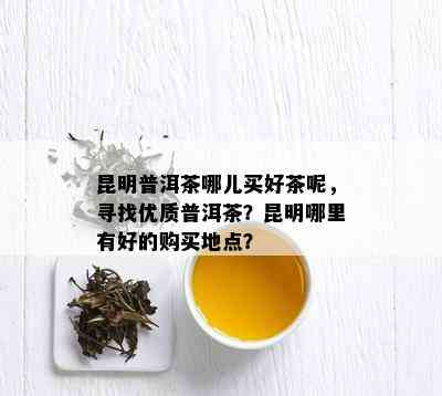 昆明哪里买普洱茶？昆明普洱茶购买攻略及推荐一网打尽！