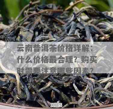 昆明哪里买普洱茶？昆明普洱茶购买攻略及推荐一网打尽！