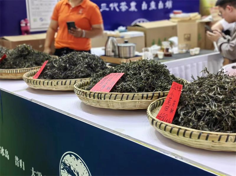 昆明普洱茶可以提货吗现在