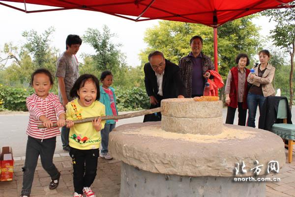 探究古树普洱茶的定价因素与市场行情