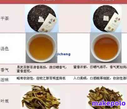 普洱茶要怎么样才转化成茶？普洱茶的成分与转化过程。