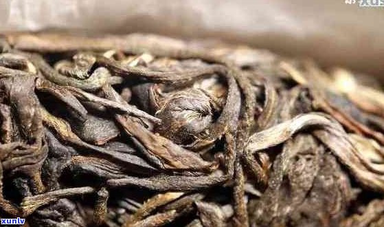 普洱茶老茶珍稀原因解析：品质、制作工艺与保存条件的影响