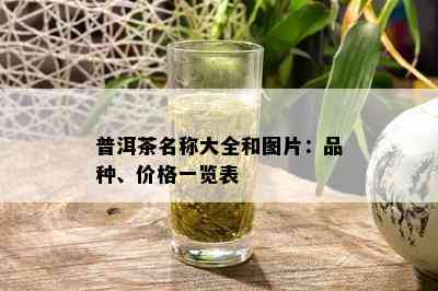 普洱茶100个名称及价格