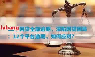 网贷逾期还款困境：是否可以寻求警方支持？