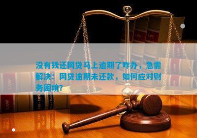 网贷逾期还款困境：是否可以寻求警方支持？