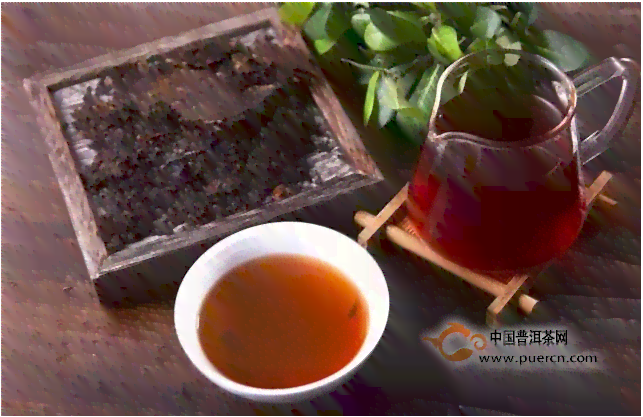 黑茶同普洱茶哪个更好一些呢-黑茶同普洱茶哪个更好一些呢知乎