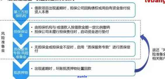 逾期风险管理与处理全流程详解：用户指南与实践